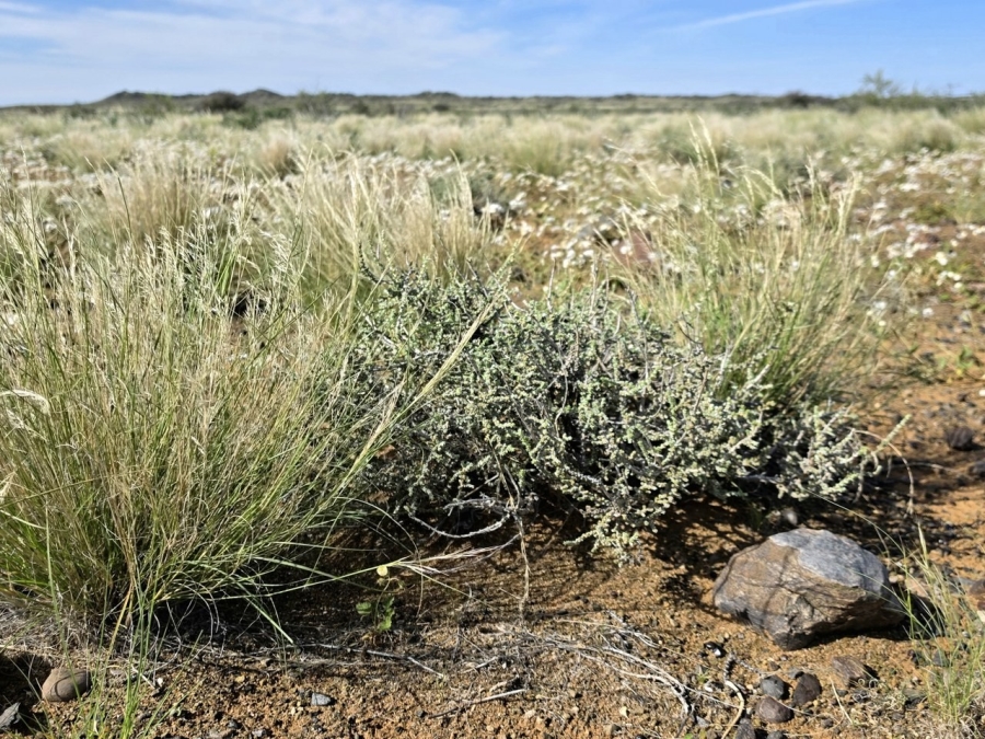 Commercial Property for Sale in Kenhardt Northern Cape